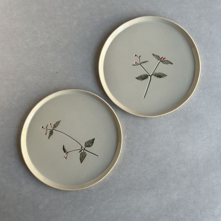 Talerz Żółtlica Duży